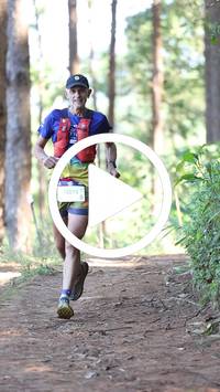 BIB:  <button type="button" onclick="openModal(26567443)" class="btn btn-primary btn-sm float-right" data-toggle="modal" data-target=".modal-high-quality">
                <i class="fa fa-download"></i> Download
                </button>